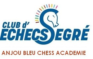 ANIMATIONS JEU D'ECHECS SUR INTERNET OPERATION SOLIDARITE