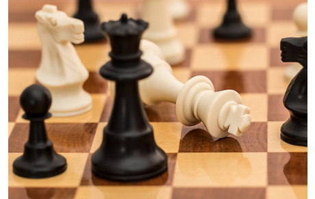 Stages durant la saison 2018_2019